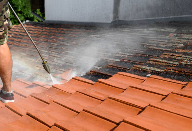 Best Exterior Home Cleaning  in Anna, TX